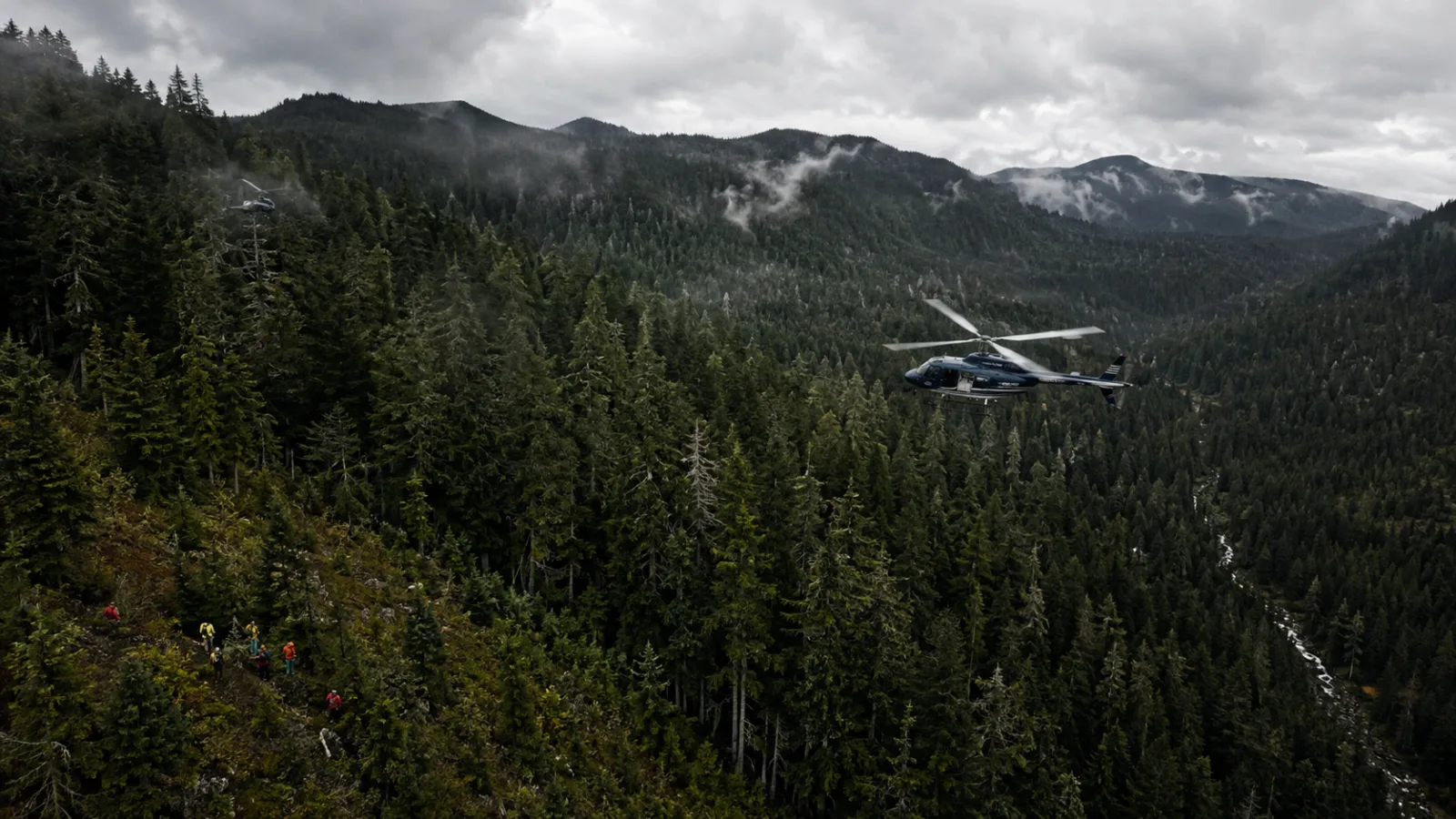 Aerial illustration of search teams and helicopters combing a dense forested mountainside